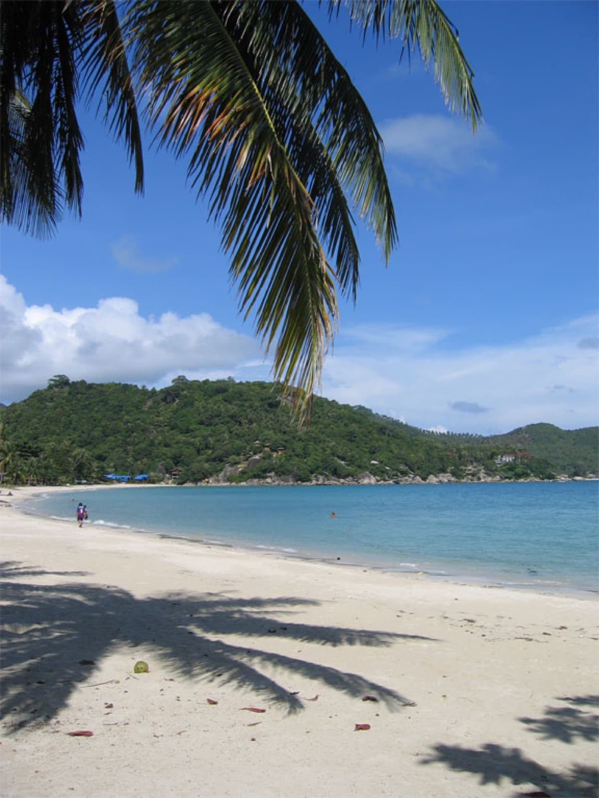 Samui's rolling out 5 new tourism 'styles' for 2026 — worth knowing if you're island-hopping