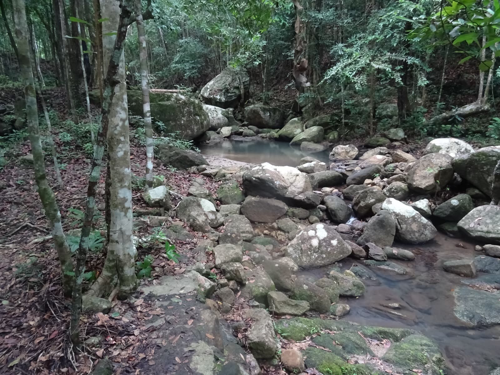 Wang Sai Waterfall — Koh Phangan's Quiet Cascades