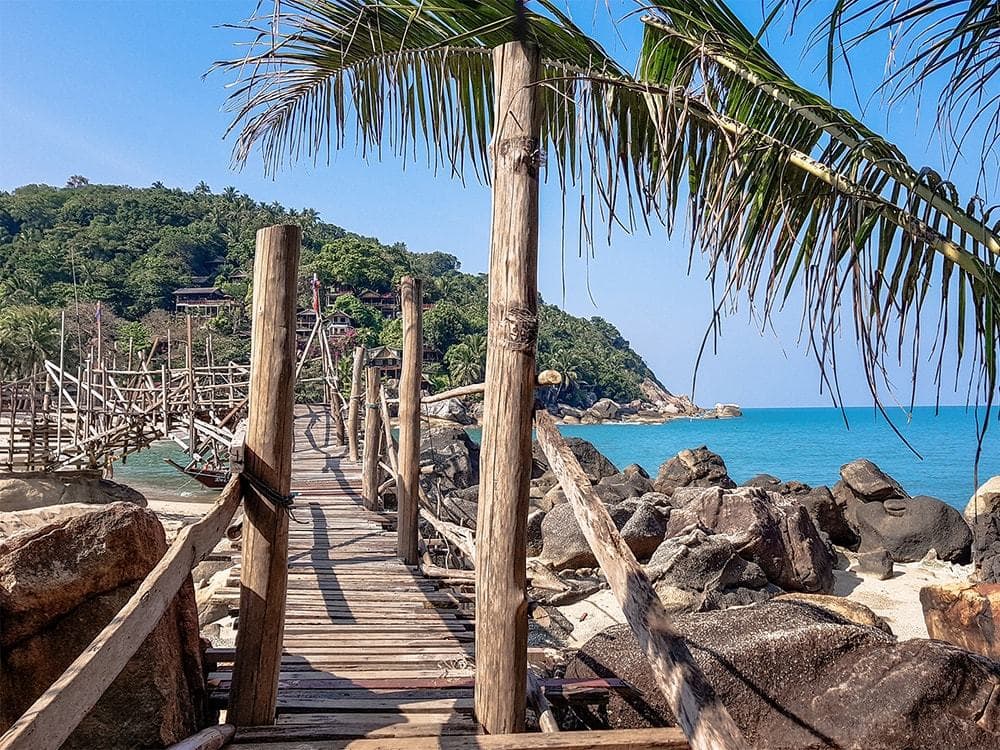Jungle trail on Koh Phangan